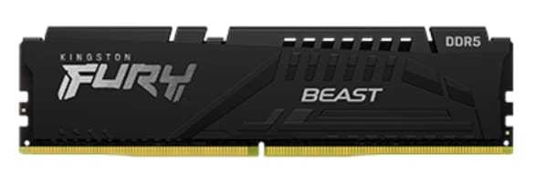 Kingston FURY Beast EXPO Desktop RAM DDR5 8GB 6000MHz