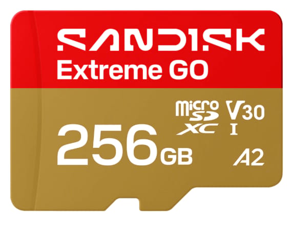 SanDisk Extreme GO microSD UHS-I Card (256GB)