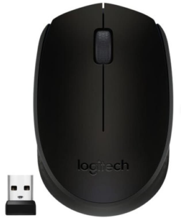 Logitech Wireless Mouse M171